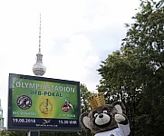 Werbung mit Teddy für die 1.Runde im DFB-Pokal