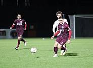 18.Spieltag BFC Dynamo - ZFC Meuselwitz,