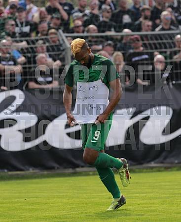 29.Spieltag BSG Chemie Leipzig - BFC Dynamo