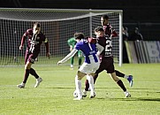 16.Spieltag BFC Dynamo -  Hertha BSC II