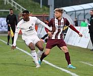 35.Spieltag BFC Dynamo - Tennis Borussia Berlin,