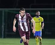 20.Spieltag BFC Dynamo - 1.FC Lokomotive Leipzig,