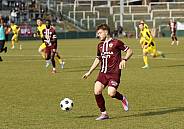 26.Spieltag BFC Dynamo - VFC Plauen