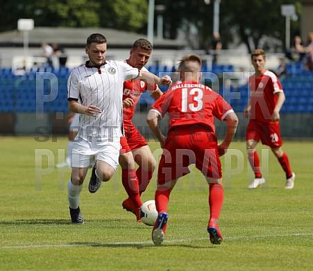 24.Spieltag BFC Dynamo U19 - Hallescher FC U19,