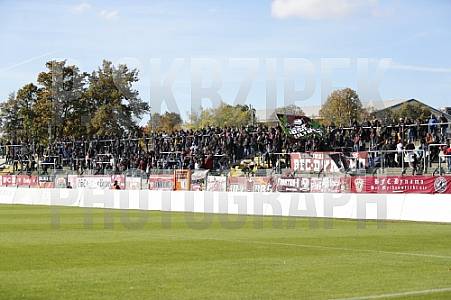 15.Spieltag BFC Dynamo - VfB Auerbach,