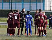 9.Spieltag BFC Dynamo U19 - FSV Zwickau U19,
