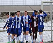 Testspiel Hertha BSC II - BFC Dynamo