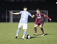 20.Spieltag BFC Dynamo - Chemnitzer FC,