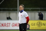 17.Spieltag FSV Zwickau - BFC Dynamo