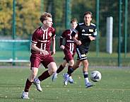 8.Spieltag BFC Dynamo U17 - 1.FC Union U16