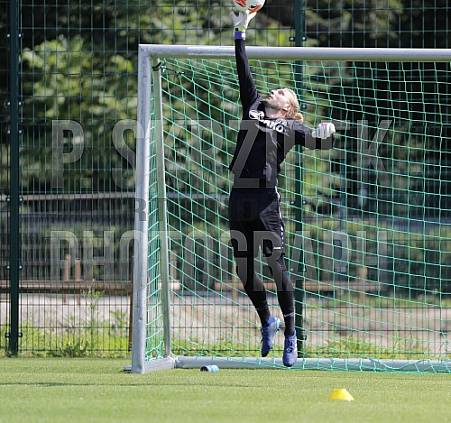 06.08.2019 Training BFC Dynamo