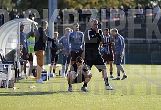 8.Spieltag BFC Dynamo - Chemnitzer FC,