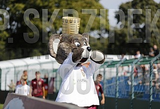 6.Spieltag BFC Dynamo -  F.C. Hertha 03 Zehlendorf