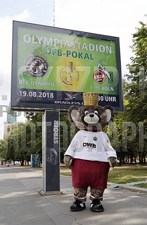 Werbung mit Teddy für die 1.Runde im DFB-Pokal