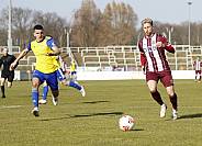 30.Spieltag BFC Dynamo - FSV 63 Luckenwalde,