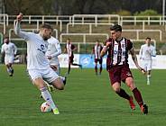 35.Spieltag BFC Dynamo - Tennis Borussia Berlin,