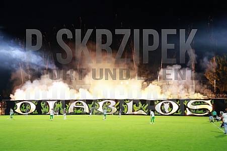 9.Spieltag BSG Chemie Leipzig - BFC Dynamo