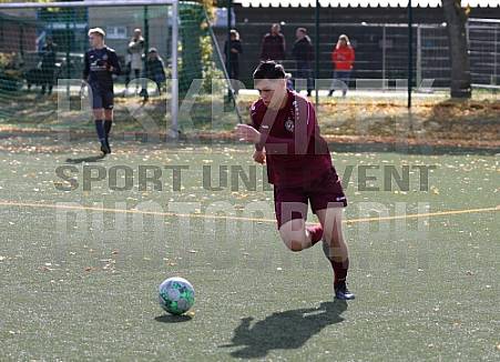 7.Spieltag BFC Dynamo U19 - VSG Altglienicke U19, 7.Spieltag BFC Dynamo U19 - VSG Altglienicke U19,