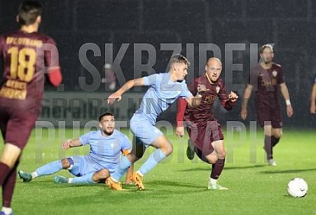 12.Spieltag BFC Dynamo - FC Viktoria 1889 Berlin