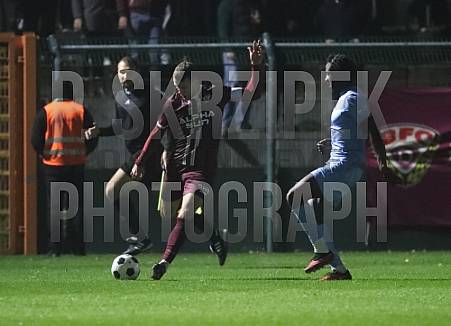 14.Spieltag BFC Dynamo - FC Viktoria 1889 Berlin