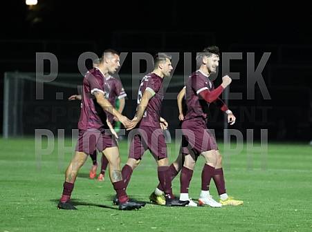 10.Spieltag BFC Dynamo - SV Babelsberg 03