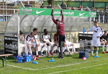 29.Spieltag BSG Chemie Leipzig - BFC Dynamo