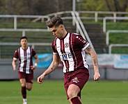 35.Spieltag BFC Dynamo - Tennis Borussia Berlin,