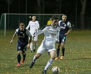 6.Spieltag BFC Dynamo U19 - SV Babelsberg 03 U19