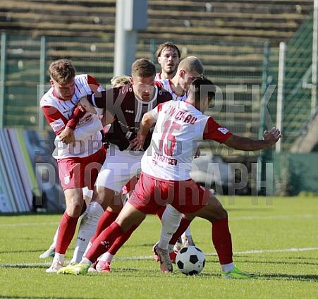 11.Spieltag BFC Dynamo - FSV Zwickau