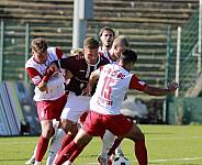 11.Spieltag BFC Dynamo - FSV Zwickau