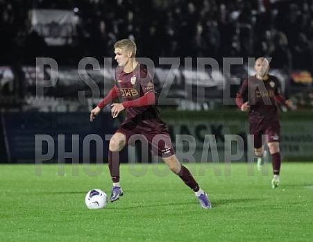 12.Spieltag BFC Dynamo - FC Viktoria 1889 Berlin