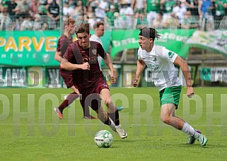 33.Spieltag BSG Chemie Leipzig - BFC Dynamo