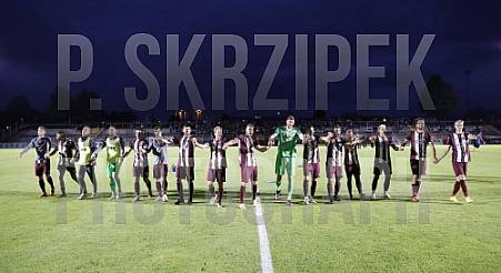 6.Spieltag BFC Dynamo - SV Tasmania Berlin,