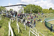 Subbotnik im Sportforum Berlin Stadion , Arbeitseinsatz