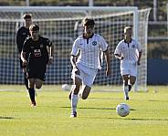 8.Spieltag BFC Dynamo U19 - FC Energie Cottbus U19 ,