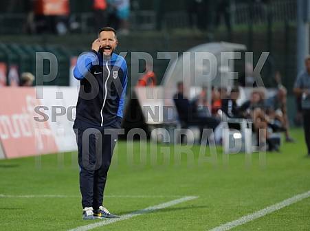 7.Spieltag BFC Dynamo - SV Babelsberg 03,