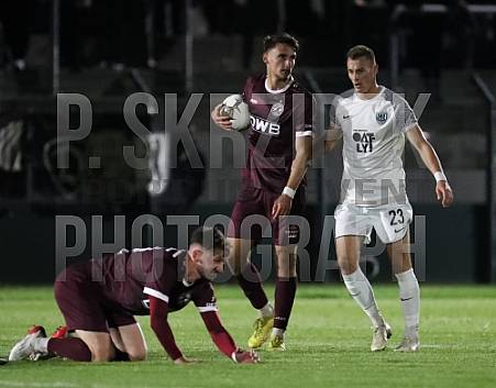 10.Spieltag BFC Dynamo - SV Babelsberg 03
