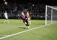 10.Spieltag BFC Dynamo - SV Babelsberg 03