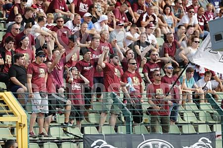 7.Spieltag BFC Dynamo - Hertha BSC II ,