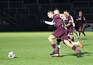 18.Spieltag BFC Dynamo - ZFC Meuselwitz,