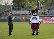 30.Spieltag BFC Dynamo - FC Eilenburg