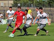 Testspiel SV Babelsberg 03 - BFC Dynamo