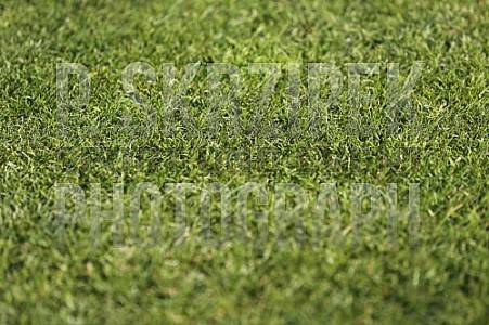 Testspiel BFC Dynamo - SV Lichtenberg 47