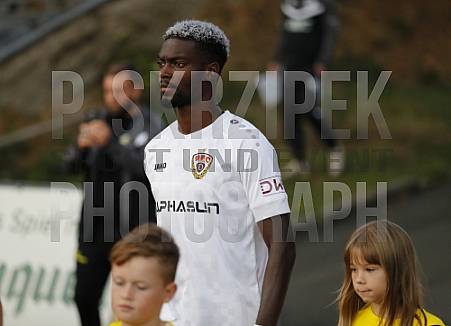 9.Spieltag VFC Plauen - BFC Dynamo