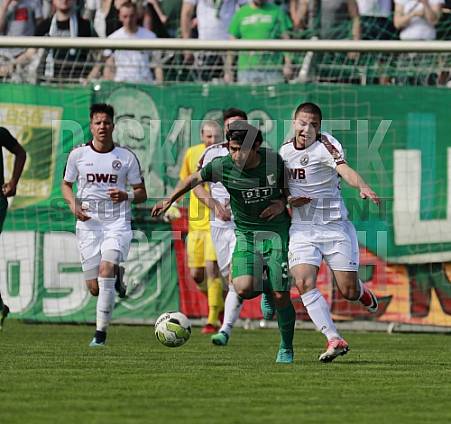 29.Spieltag BSG Chemie Leipzig - BFC Dynamo