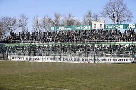 29.Spieltag BSG Chemnie Leipzig - BFC Dynamo,