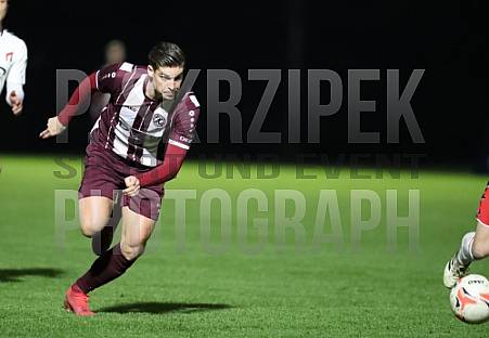 24.Spieltag BFC Dynamo - ZFC Meuselwitz,