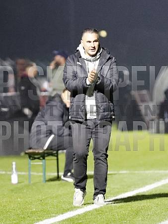 12.Spieltag BFC Dynamo - FC Viktoria 1889 Berlin