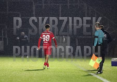 24.Spieltag BFC Dynamo - Greifswalder FC