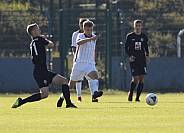 8.Spieltag BFC Dynamo U19 - FC Energie Cottbus U19 ,